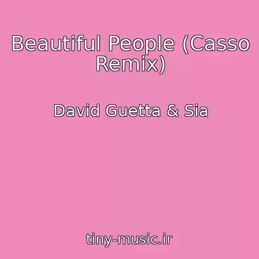 کاور آهنگ Beautiful People (Casso Remix) از David Guetta & Sia