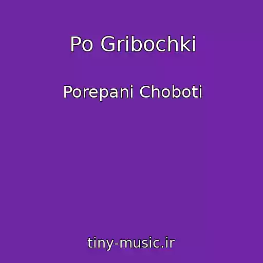 کاور آهنگ Po Gribochki از Porepanі Choboti