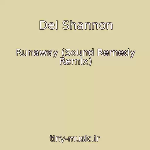 کاور آهنگ Del Shannon از Runaway (Sound Remedy Remix)