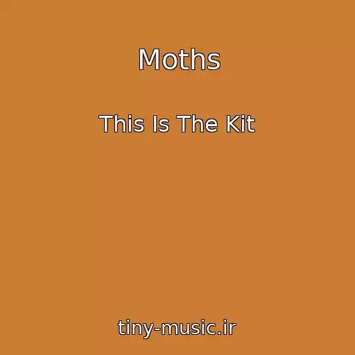 کاور آهنگ Moths از This Is The Kit