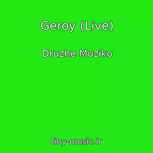 کاور آهنگ Geroy (Live) از Druzhe Muziko