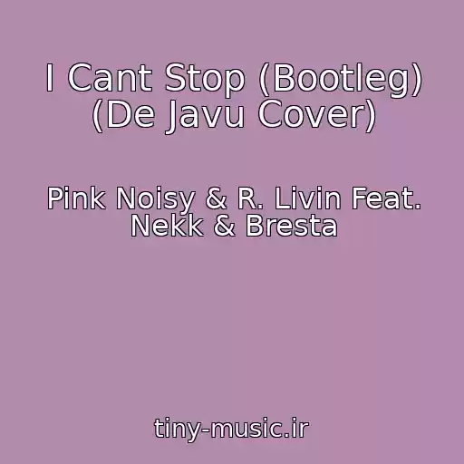 کاور آهنگ I Cant Stop (Bootleg) (De Javu Cover) از Pink Noisy & R. Livin Feat. Nekk & Bresta