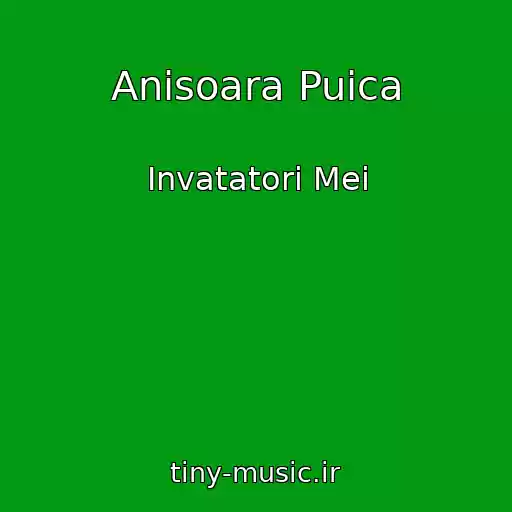 کاور آهنگ Anisoara Puica از Invatatori Mei