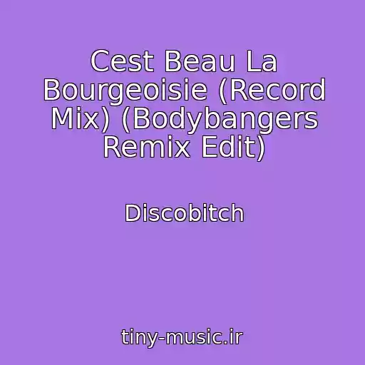 کاور آهنگ Cest Beau La Bourgeoisie (Record Mix) (Bodybangers Remix Edit) از Discobitch