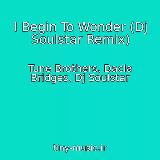 کاور آهنگ I Begin To Wonder (Dj Soulstar Remix) از Tune Brothers, Dacia Bridges, Dj Soulstar