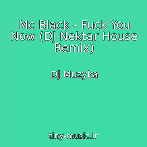 کاور آهنگ Mc Black - Fuck You Now (Dj Nektar House Remix) از Dj Muzyka