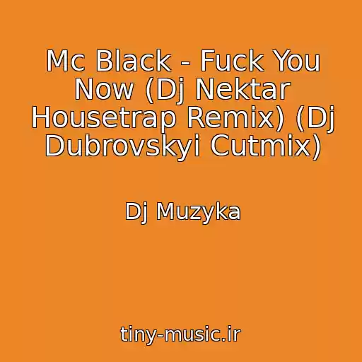 کاور آهنگ Mc Black - Fuck You Now (Dj Nektar Housetrap Remix) (Dj Dubrovskyi Cutmix) از Dj Muzyka