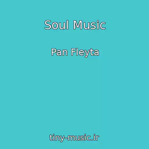 کاور آهنگ Soul Music از Pan Fleyta