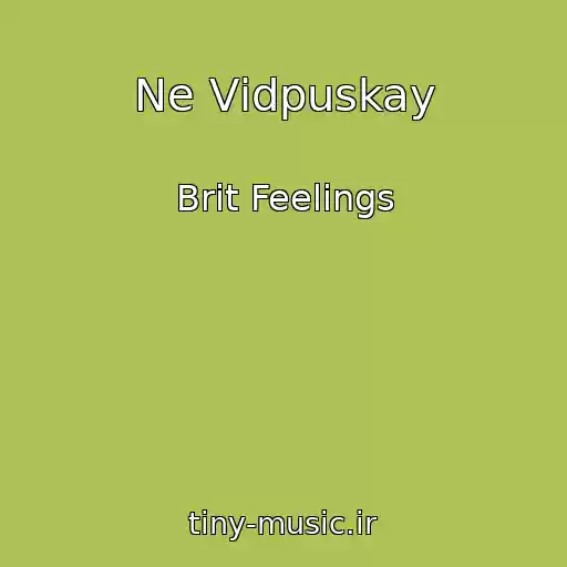 کاور آهنگ Ne Vіdpuskay از Brit Feelings