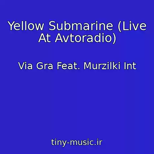 کاور آهنگ Yellow Submarine (Live At Avtoradio) از Via Gra Feat. Murzilki Int