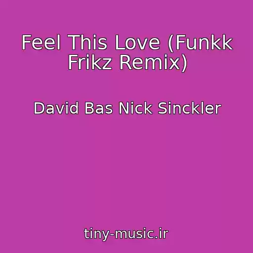 کاور آهنگ Feel This Love (Funkk Frikz Remix) از David Bas Nick Sinckler
