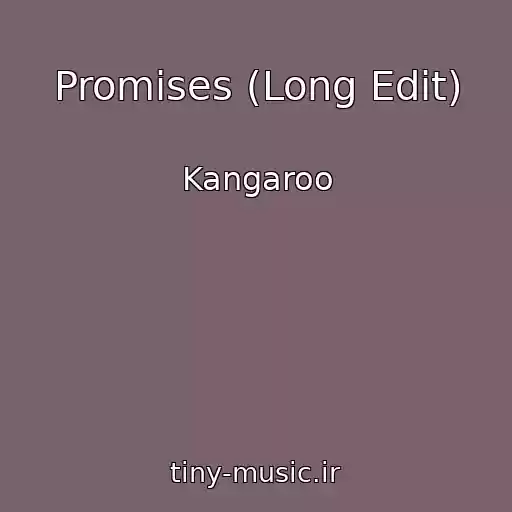 کاور آهنگ Promises (Long Edit) از Kangaroo