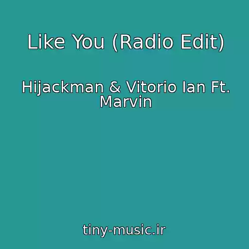 کاور آهنگ Like You (Radio Edit) از Hijackman & Vitorio Ian Ft. Marvin