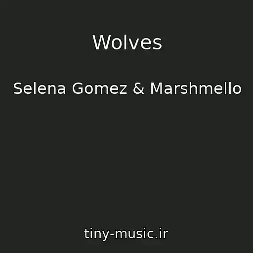 کاور آهنگ Wolves از Selena Gomez & Marshmello