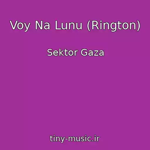 کاور آهنگ Voy Na Lunu (Rington) از Sektor Gaza
