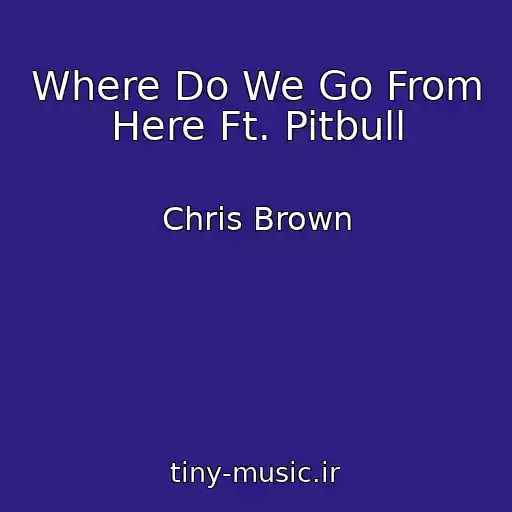 کاور آهنگ Where Do We Go From Here Ft. Pitbull از Chris Brown