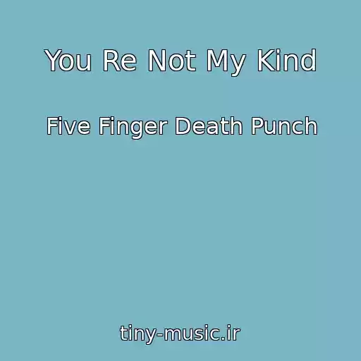 کاور آهنگ You Re Not My Kind از Five Finger Death Punch