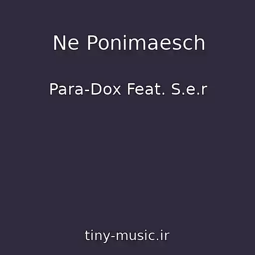 کاور آهنگ Ne Ponimaesch از Para-Dox Feat. S.e.r