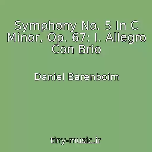 کاور آهنگ Symphony No. 5 In C Minor, Op. 67: I. Allegro Con Brio از Daniel Barenboim