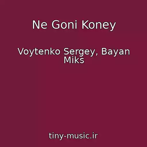 کاور آهنگ Ne Goni Koney از Voytenko Sergey, Bayan Miks