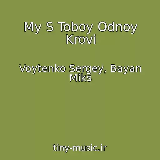 کاور آهنگ My S Toboy Odnoy Krovi از Voytenko Sergey, Bayan Miks