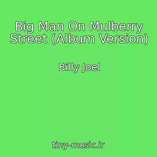 کاور آهنگ Big Man On Mulberry Street (Album Version) از Billy Joel