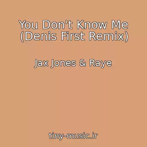 کاور آهنگ You Don't Know Me (Denis First Remix) از Jax Jones & Raye
