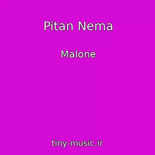 کاور آهنگ Pitan Nema از Malone
