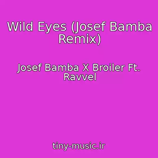 کاور آهنگ Wild Eyes (Josef Bamba Remix) از Josef Bamba X Broiler Ft. Ravvel