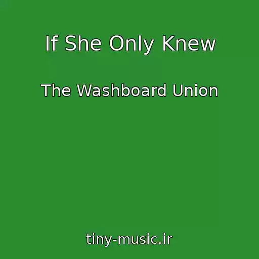 کاور آهنگ If She Only Knew از The Washboard Union