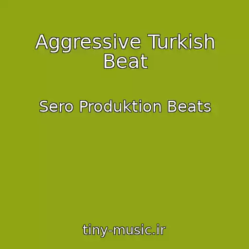 کاور آهنگ Aggressive Turkish Beat از Sero Produktion Beats