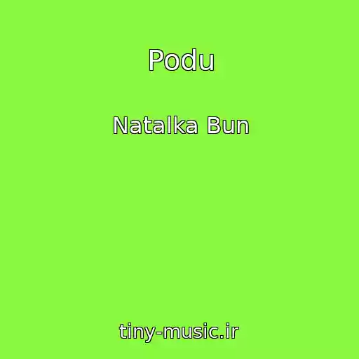 کاور آهنگ Podu از Natalka Bun