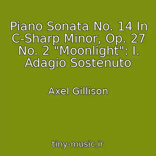 کاور آهنگ Piano Sonata No. 14 In C-Sharp Minor, Op. 27 No. 2 "Moonlight": I. Adagio Sostenuto از Axel Gillison