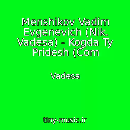 کاور آهنگ Menshikov Vadim Evgenevich (Nik. Vadesa) - Kogda Ty Pridesh (Com از Vadesa