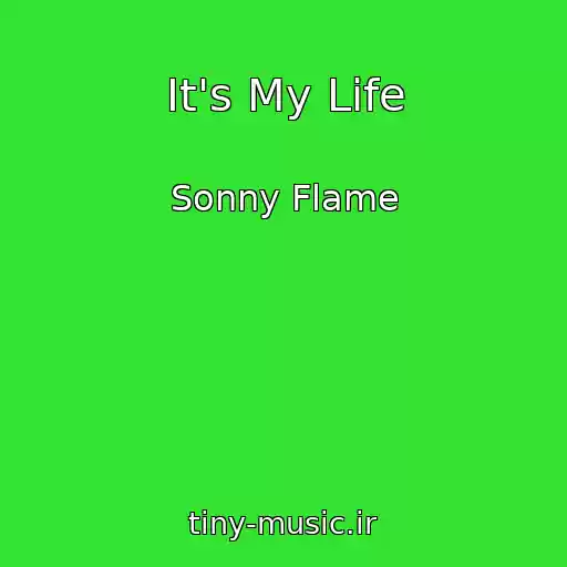 کاور آهنگ It's My Life از Sonny Flame