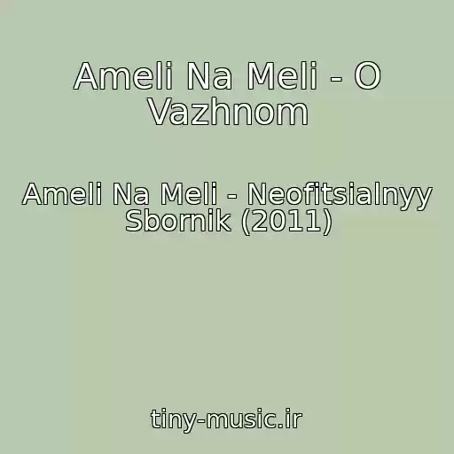 کاور آهنگ Ameli Na Meli - O Vazhnom از Ameli Na Meli - Neofitsialnyy Sbornik (2011)