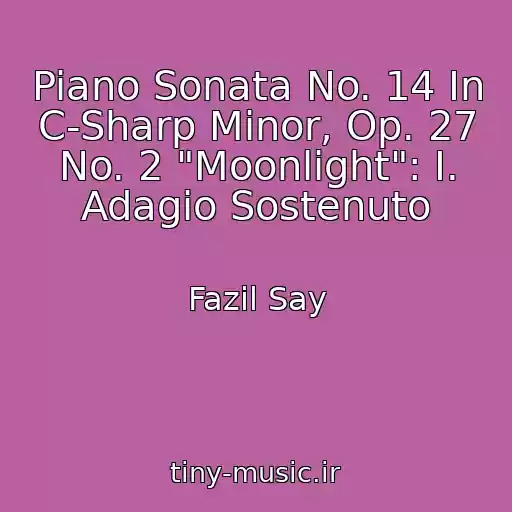 کاور آهنگ Piano Sonata No. 14 In C-Sharp Minor, Op. 27 No. 2 "Moonlight": I. Adagio Sostenuto از Fazil Say