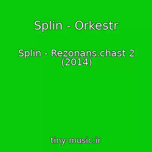 کاور آهنگ Splin - Orkestr از Splin - Rezonans.chast 2 (2014)