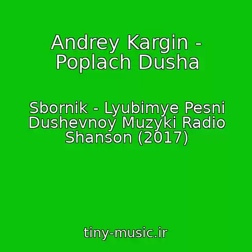 کاور آهنگ Andrey Kargin - Poplach Dusha از Sbornik - Lyubimye Pesni Dushevnoy Muzyki Radio Shanson (2017)