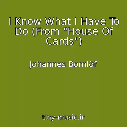 کاور آهنگ I Know What I Have To Do (From "House Of Cards") از Johannes Bornlöf