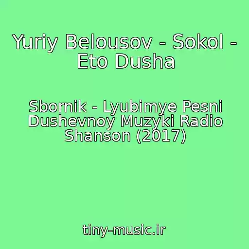 کاور آهنگ Yuriy Belousov - Sokol - Eto Dusha از Sbornik - Lyubimye Pesni Dushevnoy Muzyki Radio Shanson (2017)