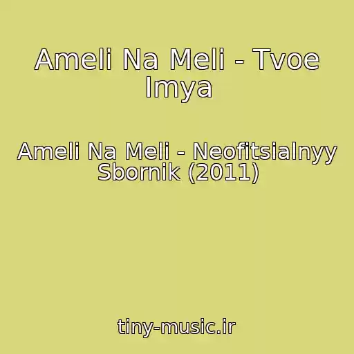 کاور آهنگ Ameli Na Meli - Tvoe Imya از Ameli Na Meli - Neofitsialnyy Sbornik (2011)