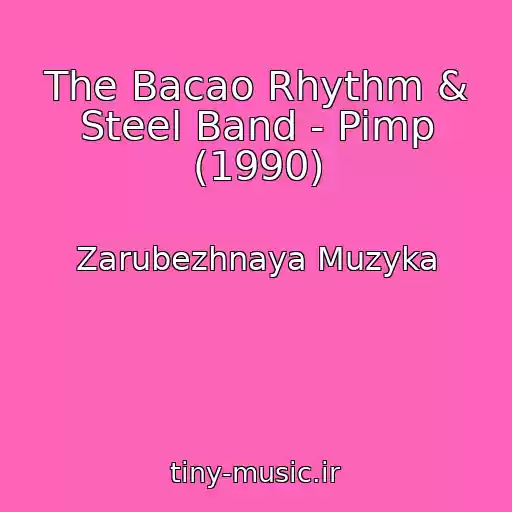 کاور آهنگ The Bacao Rhythm & Steel Band - Pimp (1990) از Zarubezhnaya Muzyka