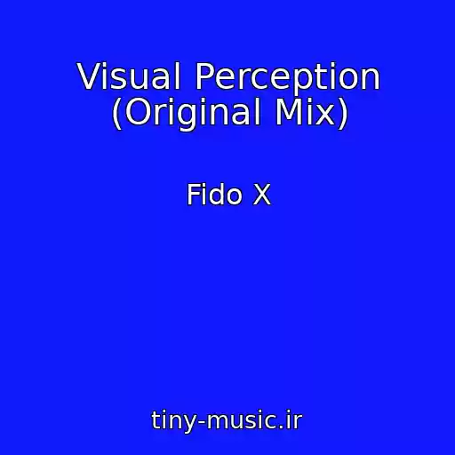 کاور آهنگ Visual Perception (Original Mix) از Fido X