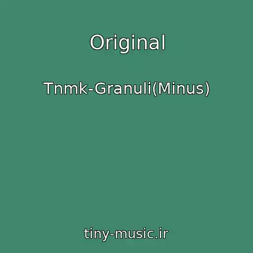 کاور آهنگ Original از Tnmk-Granuli(Minus)