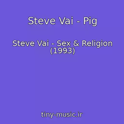 کاور آهنگ Steve Vai - Pig از Steve Vai - Sex & Religion (1993)