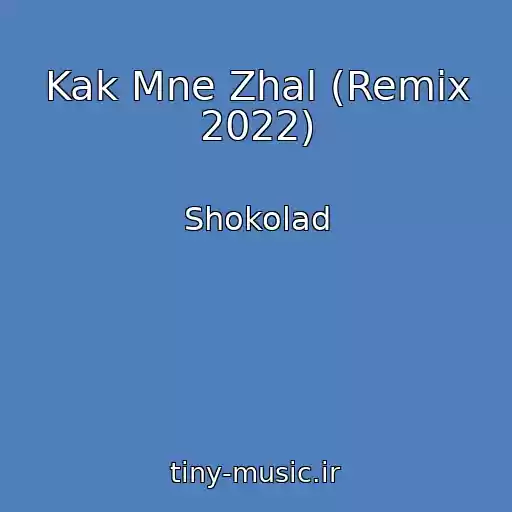 کاور آهنگ Kak Mne Zhal (Remix 2022) از Shokolad