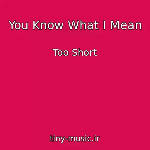 کاور آهنگ You Know What I Mean از Too Short