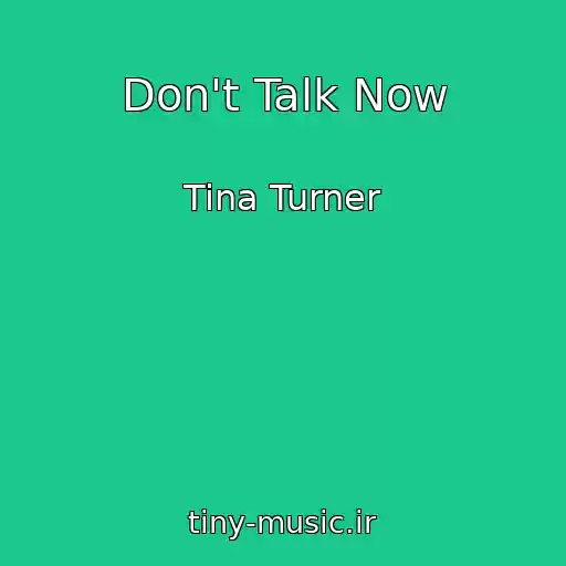 کاور آهنگ Don't Talk Now از Tina Turner