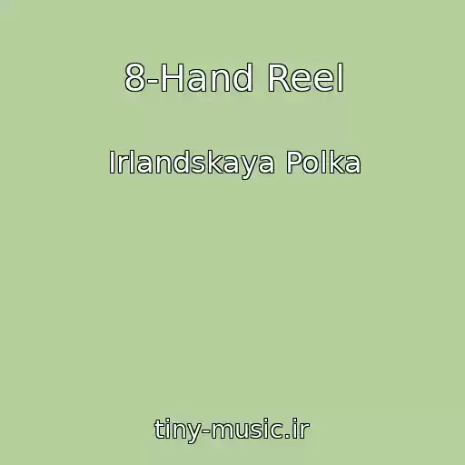 کاور آهنگ 8-Hand Reel از Irlandskaya Polka